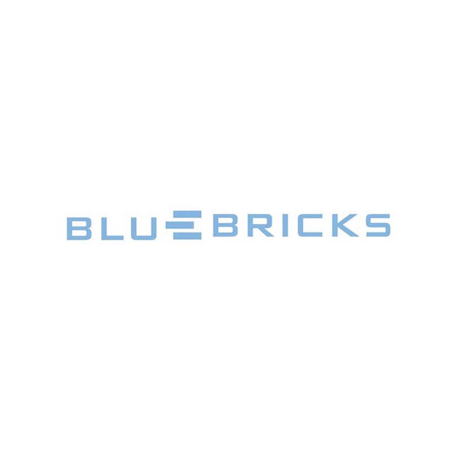 Blue Bricks - Logo Design