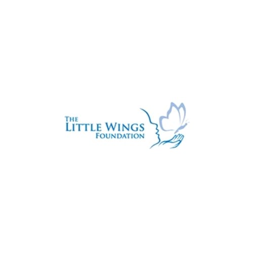 Little Wings Foundation - Website